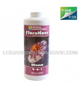 Nova Bloom 946ml - GHE...