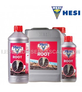HESI Root 1 L