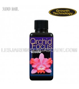Ionic Orchid Focus Bloom -...